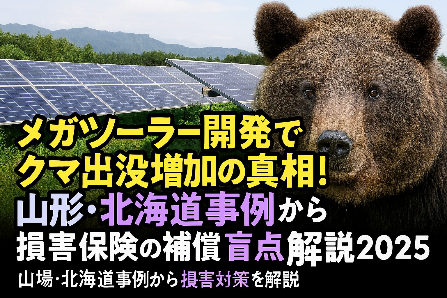 メガソーラーと熊出没の関係及び損害保険の盲点