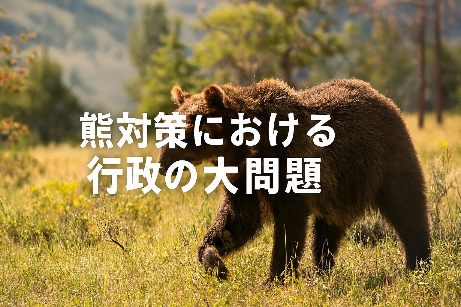 熊対策における行政の大問題。