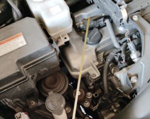 タクシー車両のエンジンルームでオイルゲージ棒を引き抜き、エンジンオイル量を点検している様子。周囲にエンジンカバーや冷却水タンクが見える構図